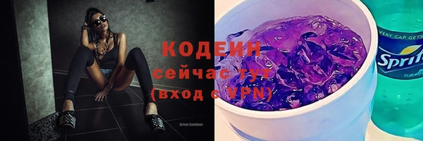 МДПВ Вязьма