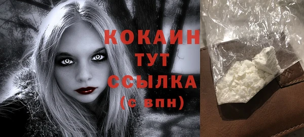хмурый Вяземский