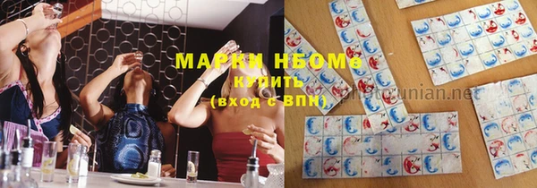 хмурый Вяземский