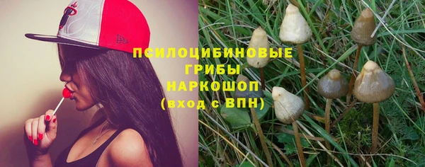 хмурый Вяземский