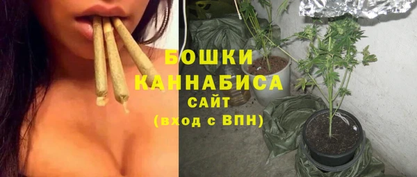 хмурый Вяземский